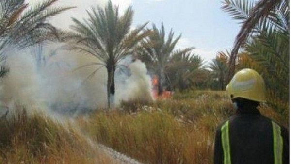اشتعال النيران بمزرعة