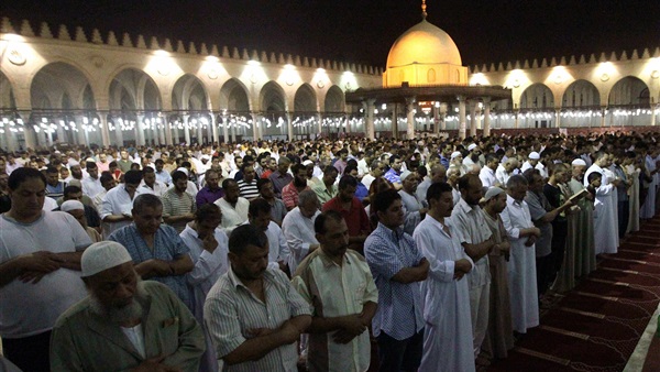 المواطن