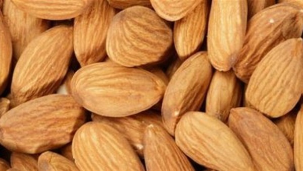 زهرة البربر