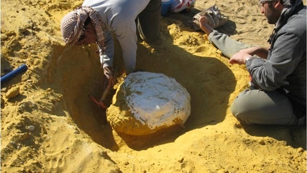 صورة أرشيفية