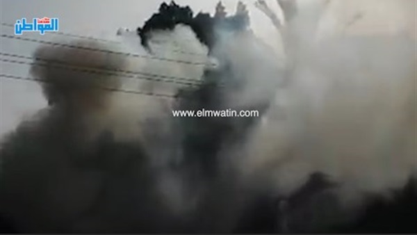 المواطن