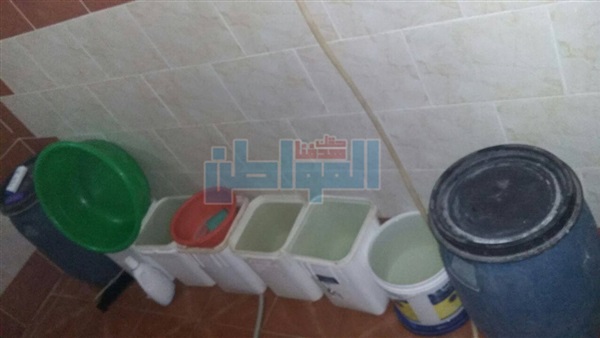 المواطن