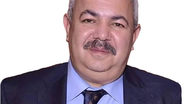المهندس عمرو أبو