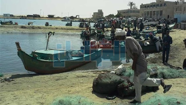 صورة موضوعية