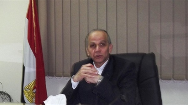 محافظ الوادى الجديد