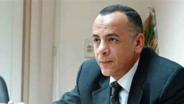 الدكتور مصطفى وزيري