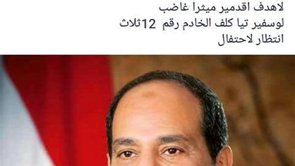 المواطن