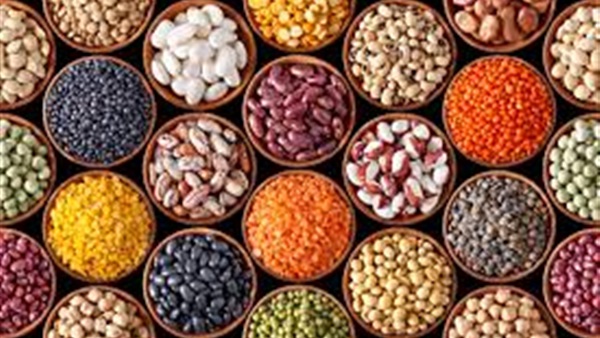البقوليات- صورة أرشيفية