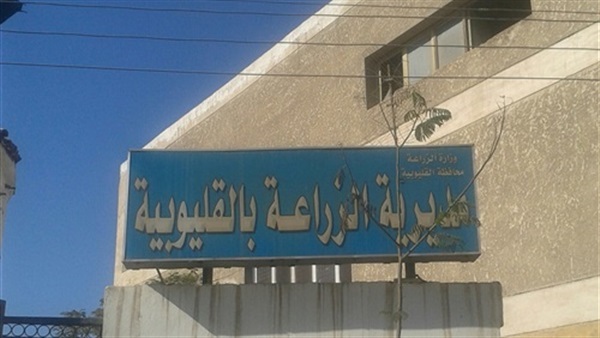 أرشيفية