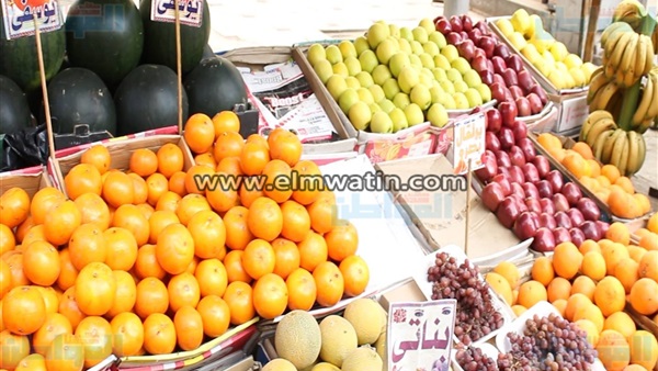المواطن