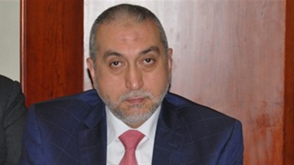 علي شكري - صورة أرشيفية