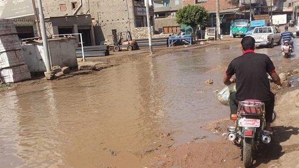 المواطن