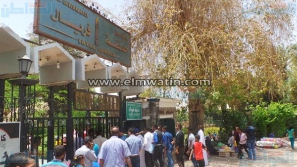المواطن