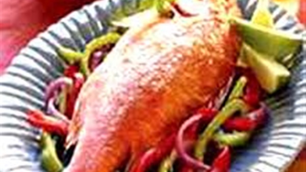 المواطن