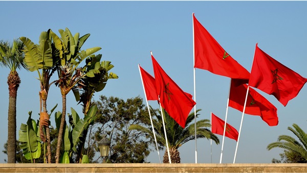 المواطن