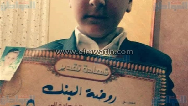 المواطن