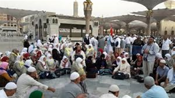 المواطن