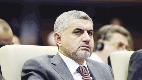 حسن مالك