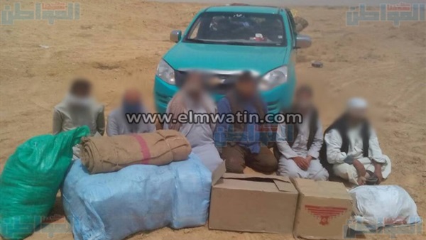 المواطن
