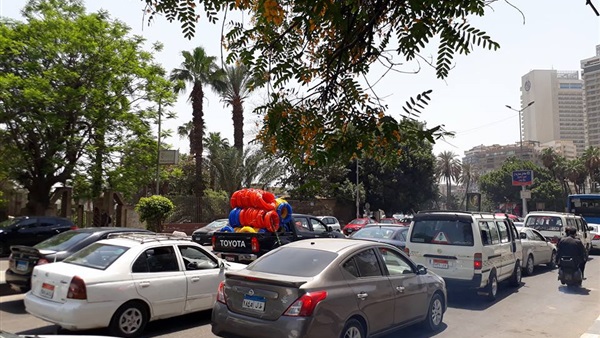 المواطن
