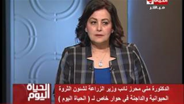 المواطن