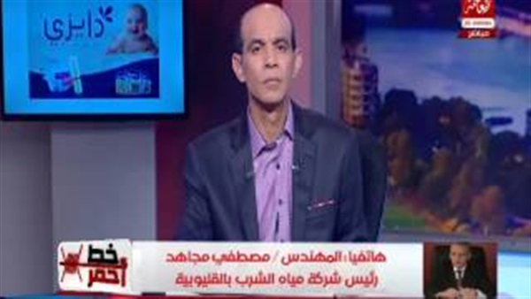المواطن