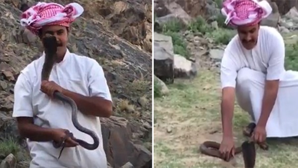 أرشيفية