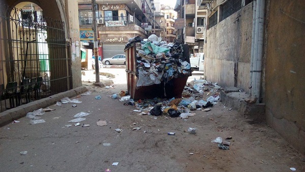 المواطن