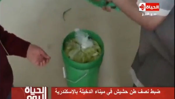 المواطن