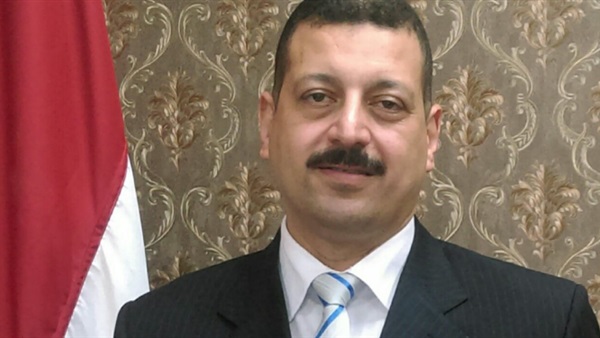 الدكتور أيمن حمزة