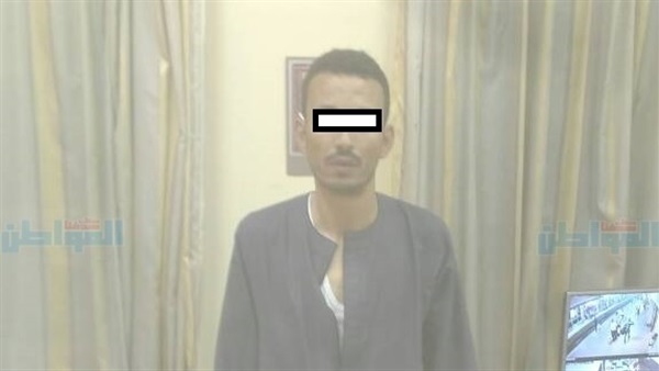 المواطن
