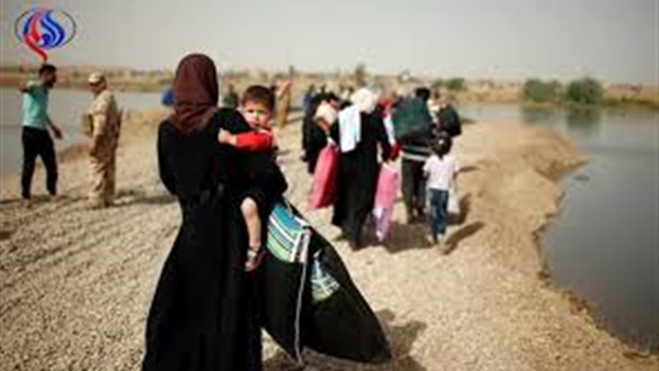 المواطن