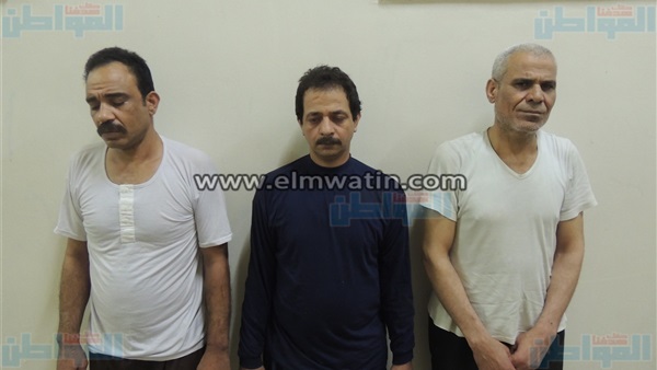المواطن