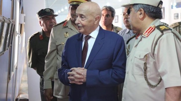 المواطن