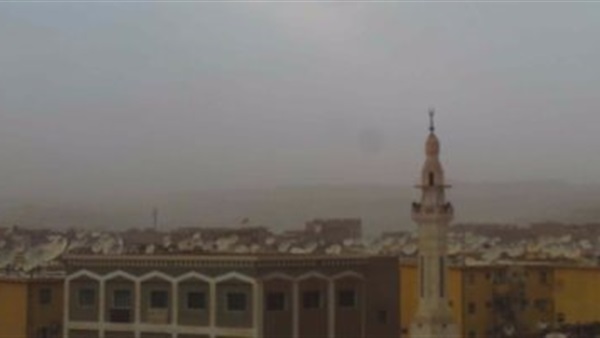 المواطن