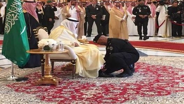 المواطن