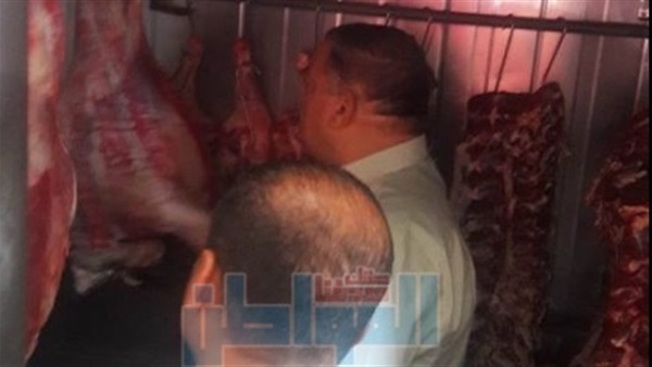 المواطن