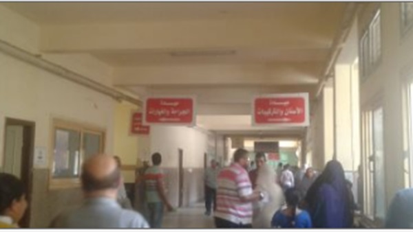 المواطن