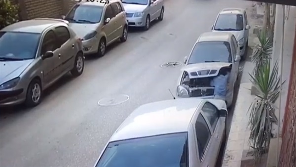 المواطن