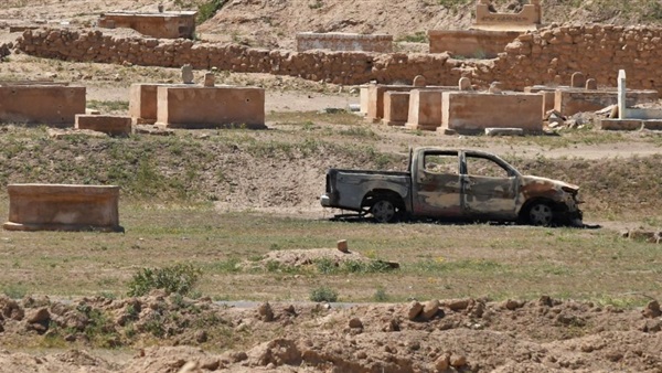المواطن