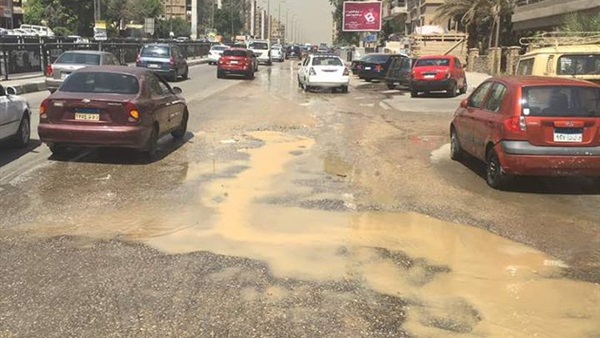 المواطن