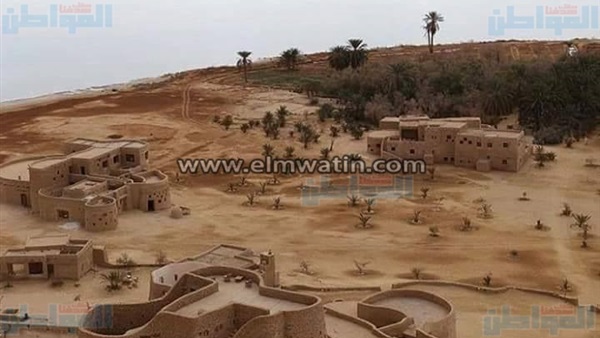 المواطن
