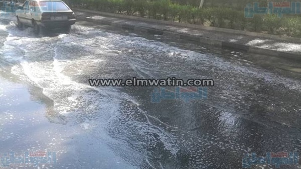 المواطن