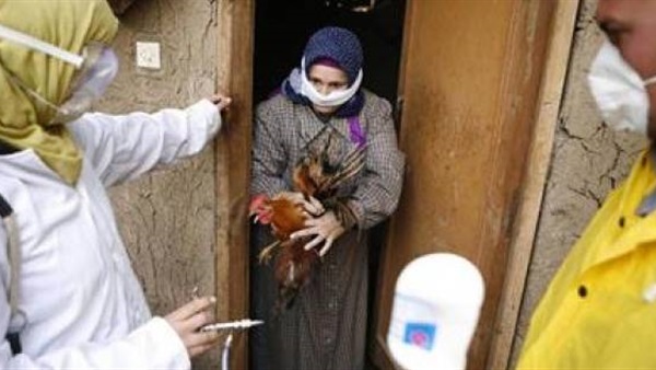 قافلة