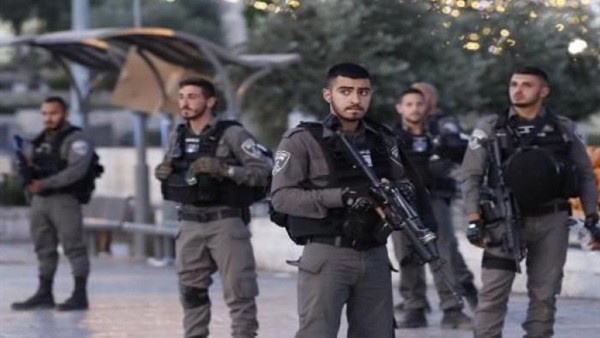 المواطن