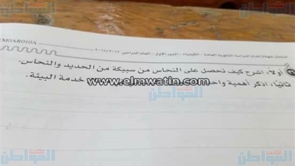 المواطن
