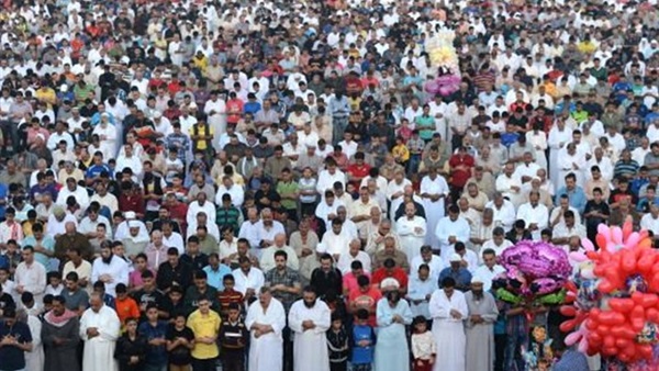 المواطن