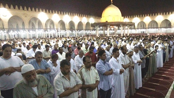 المواطن