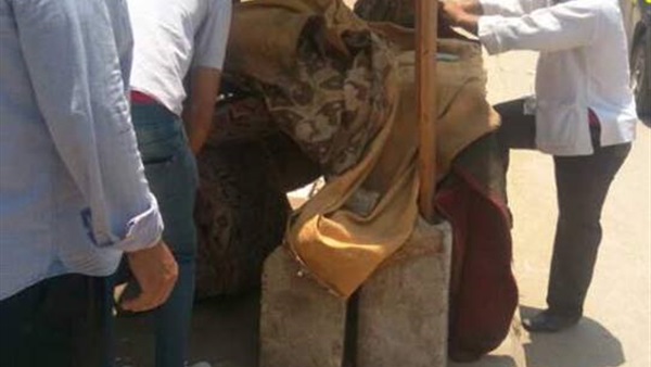المواطن