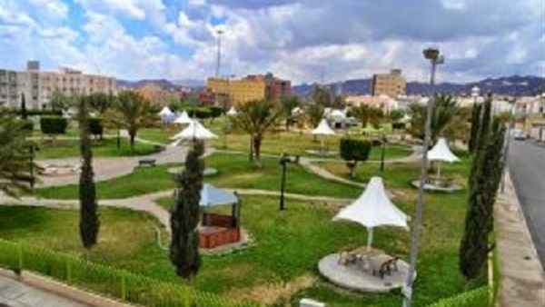المواطن